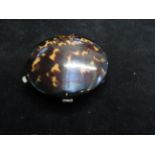 Tortoise shell compact