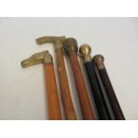 5 Brass top walking sticks