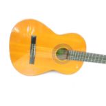 Acoustic guitar