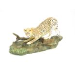 Beswick Cheetah on rock 2715