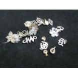 20 Silver charms