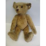 Large size Steiff teddy bear with gold button to e