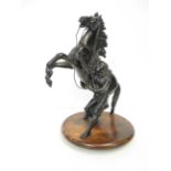 Spelter Marley horse Height 40 cm