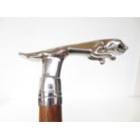 Jaguar handled walking stick