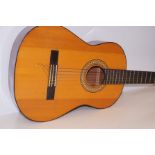 Acoustic guitar