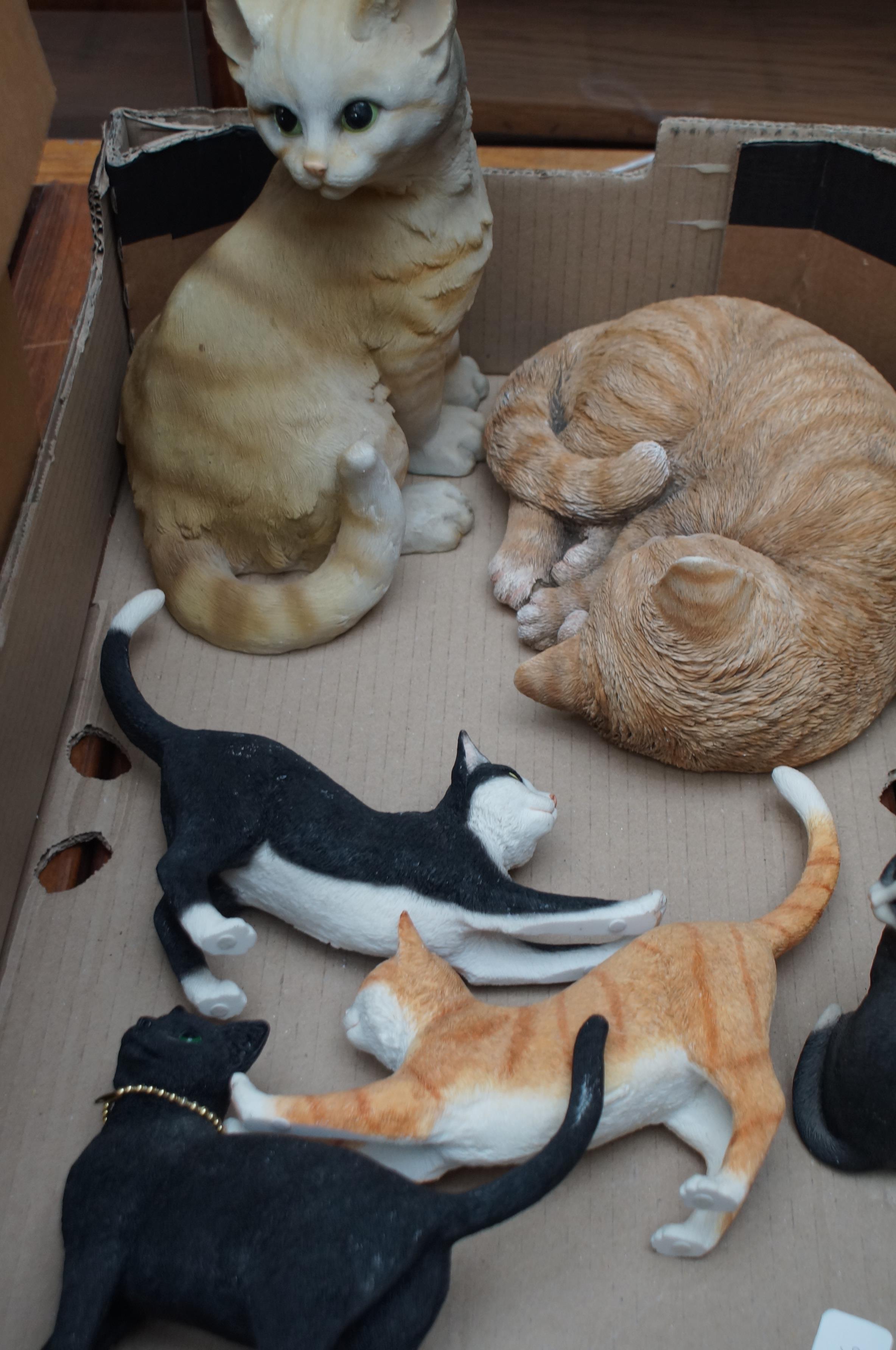 Box of resin cats