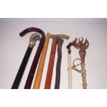 Collection of walking sticks & crops