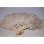 Early 20th century possibly ostrich feather fan or