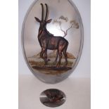 Resin mounted antelope & mounted lion with hand pa