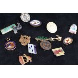 Assorted lapel badges