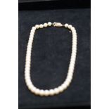 Set of pearls with clasp stamped K18