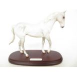 Beswick desert orchid 'seconds'