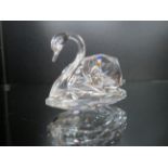 Swarovski crystal swan with original box