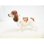 Royal Doulton HN1037 cocker spaniel