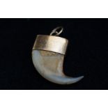 9ct Gold shark tooth