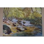 Watercolour by Roland Johnson, titled Welsh stream