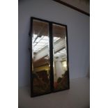 Pair of painted mirror panels