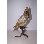 Bergman cold painted bronze cockatoo Height 30 cm