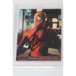 Stan Lee signed spider man trading card coa stamp