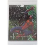 Stan Lee signed spider man trading card coa stamp