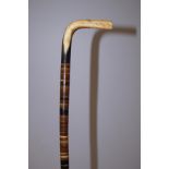 Sectional horn cane