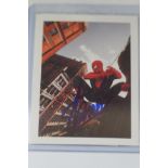 Stan Lee signed spider man trading card coa stamp