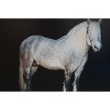 Large modern picture of a dapple grey horse on boa