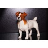 Beswick Jack Russell