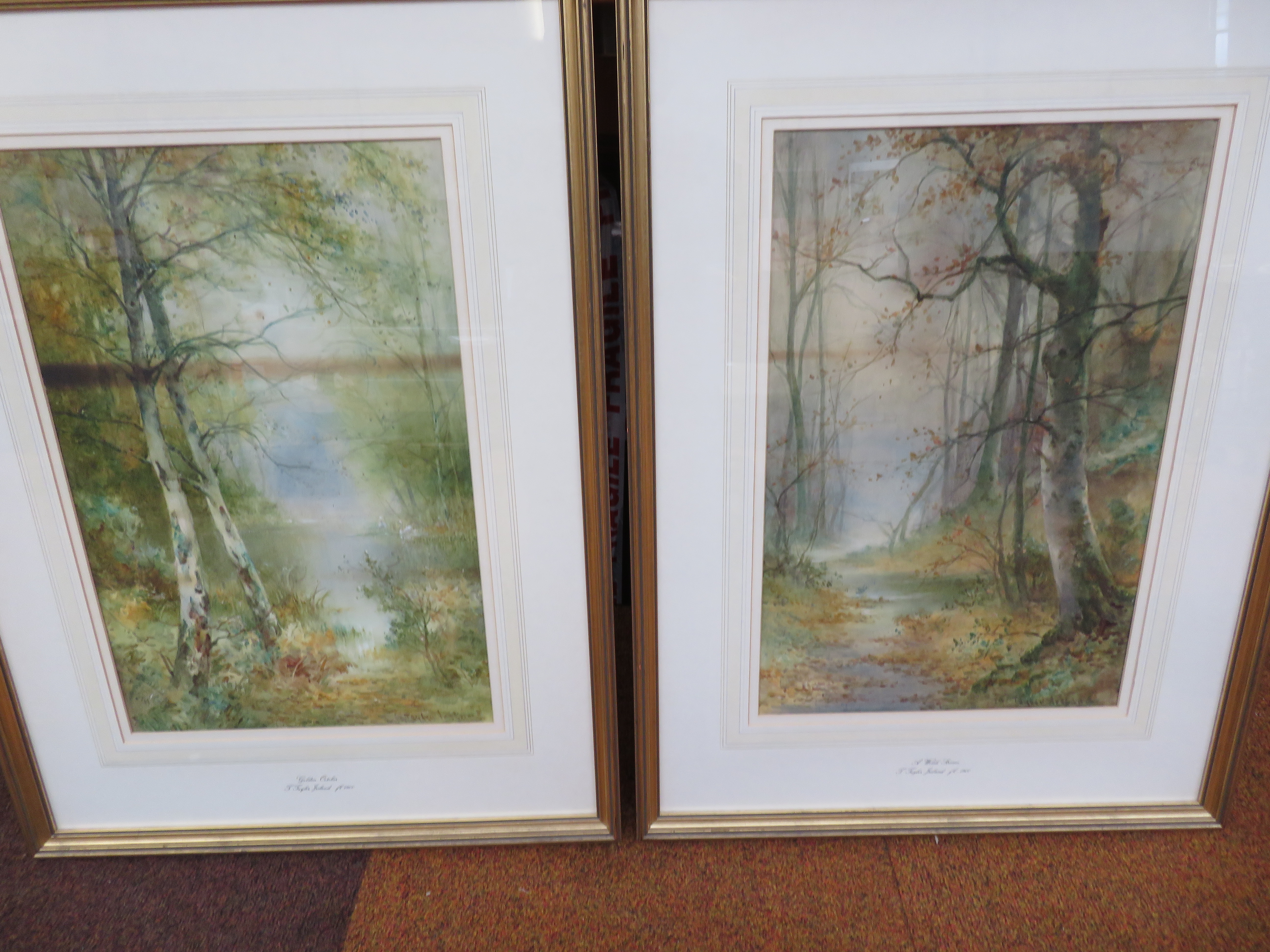 2x Watercolours both signed Thomas Tayler Ireland,