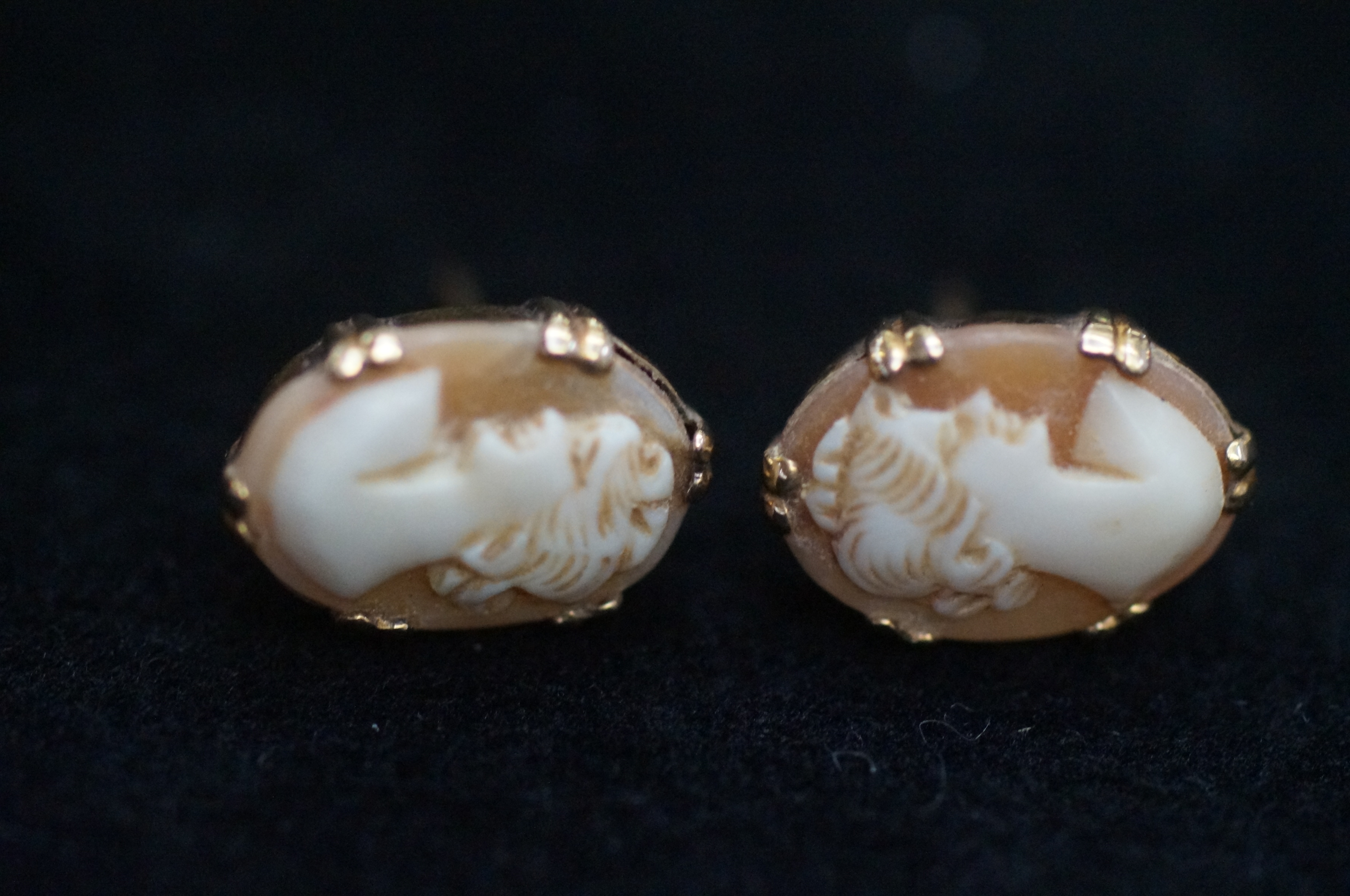 Yellow metal cameo earrings