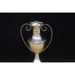 Silver 2 handled vase