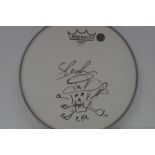 Drum head signed with a drawing by SLASH- Saul Hud