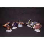 6x Royal Crown Derby tropical fish paperweights