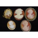5 Cameo brooches