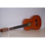 Malaga acoustic guitar with soft case