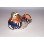 Royal crown derby mandarin duck