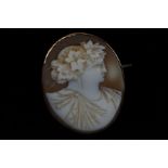 Cameo brooch set in yellow metal