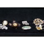 Collection of pin brooches