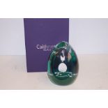 Caithness glass oversize paperweight with box limi