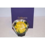 Caithness glass oversize paperweight with box limi