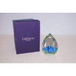 Limited edition Caithness paperweight 21/100 title