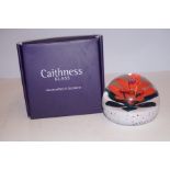Caithness paperweight titled Christmas winter poin