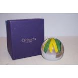 Caithness celandine limited edition paperweight 34