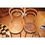 A pair of bentwood chairs