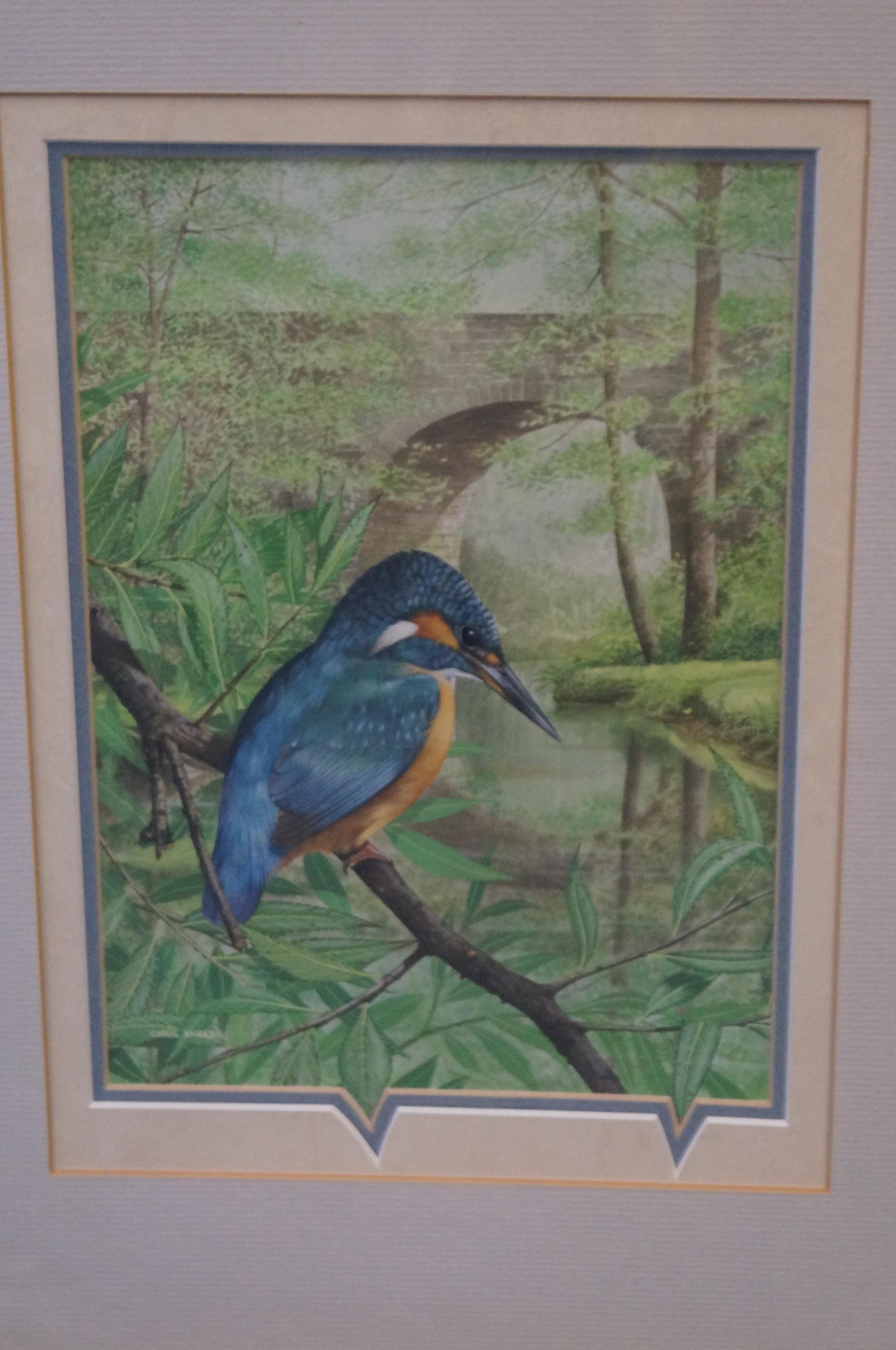 Chris Shields Watercolour of a kingfisher