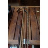 5 x Walking Sticks