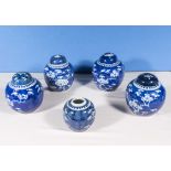 Five antique Chinese blue and white prunus pattern ginger jars