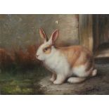 A small unframed oil on canvas of a rabbit