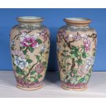 A pair of Chinese style vases