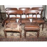 A set of 5 Victorian mahogany dining chairs (1 arm chair and 4 stand chairs)
